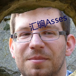 汇编Asses