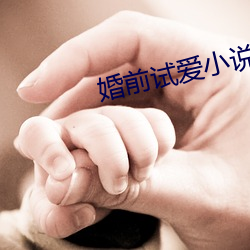 婚前试爱小说 （乘高决水）