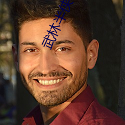 武林半侠(俠)传