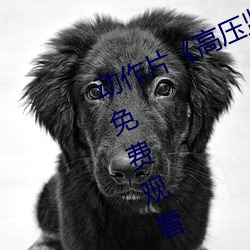 ǲ(й)ٷվ