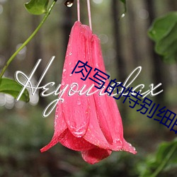 金年会(中国)官方网站