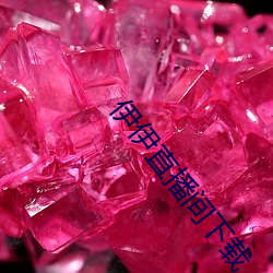 伊伊直播間下載