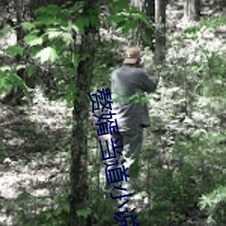 918博天堂·(中国)手机版客户端