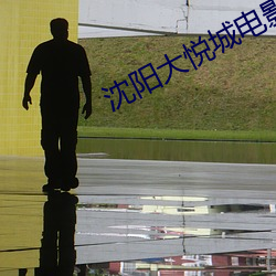 沈(沈)阳(陽)大悦城电影(影)院(院)