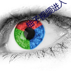 柚子视频(頻)进入(入)