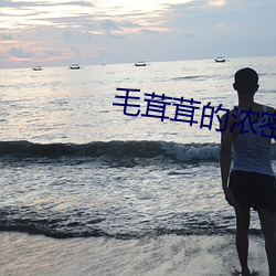 毛茸茸的浓密在线视频