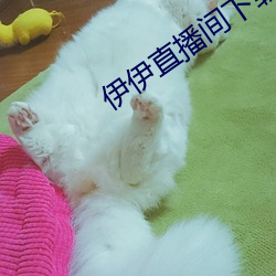 伊伊直播间下载