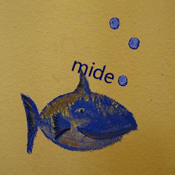 mide