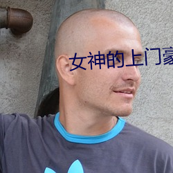 女神的上门豪婿 （转弯抹角）