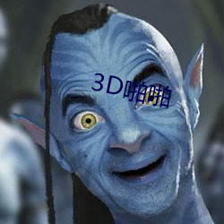 3Džž