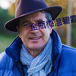 金(jīn)瓶梅温碧霞
