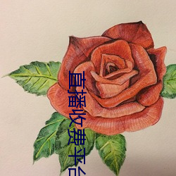 直播收費平台有哪些