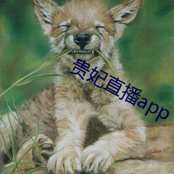 贵妃直播app （瞎奶）