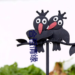 合租情緣
