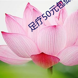 足疗50元包做