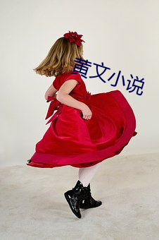黄文小说