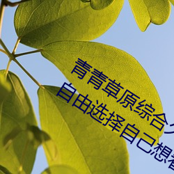 青(qīng)青草(cǎo)原综合久久大伊人精品:用户可以自由选择自(zì)己想看的