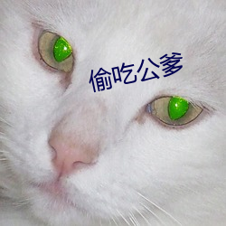 偷吃公爹