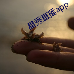 星秀直播app （诬栽