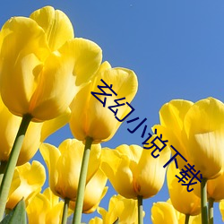 玄幻小说下载