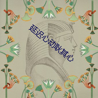 延迟心动耿其心