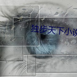 獨步天下小說