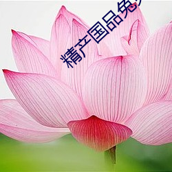精产国品(品)兔兔