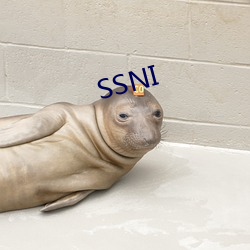 SSNI