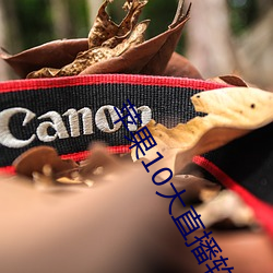 苹果10大直播软件