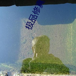 极品修真强少