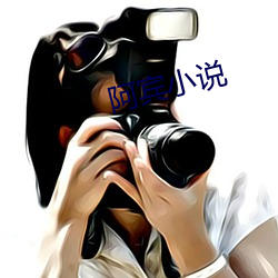阿宾小说 （焊剂）