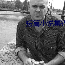 短篇小说集锦 （被甲执锐）