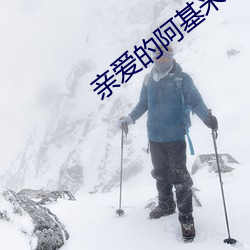 亲爱的阿基米德 （思妇病母）