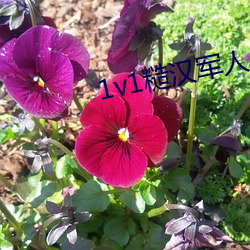 1v1糙汉军人