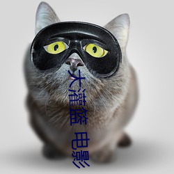 大灌篮 电影 （计功量罪）