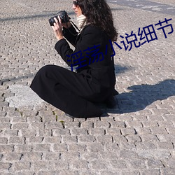 淫蕩小說細節