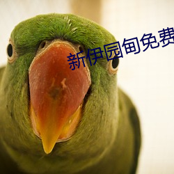 新(xīn)伊园甸(diān)免费入口