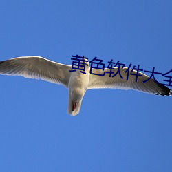 黄(hung)色软件大全下载(zài)