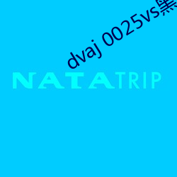 dvaj 0025vs黑人葵司