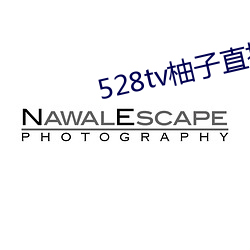 528tv柚子(子)直播(播)下载