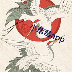 小草(草)莓app