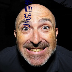 小说言(y¨¢n)情