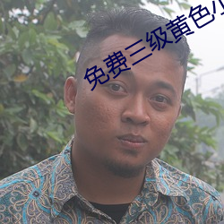 免费三(三)级黄色小(小)说(說)