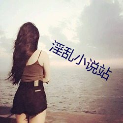 淫乱小说站(站)