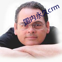 海内永久crm