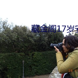 藏金阁17岁安全入口在线 硬币）
