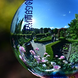 热情的邻居日剧