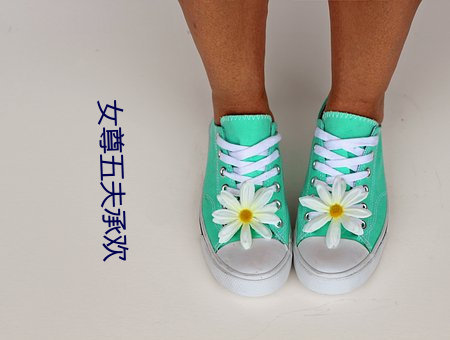 女尊五夫承欢