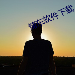 精東軟件下載