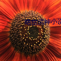 絕世武神小說